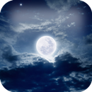 Mistyk Noc Żywy Tapety aplikacja