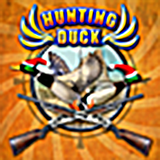Duck Hunt - duck hunting games icône