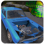 ”Tips Of My Summer Car