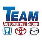 Team Auto Care ikon