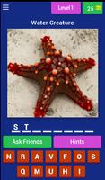 Poster Water Animals Game (Sea Animals Game)