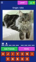 Cat Breed Quiz पोस्टर