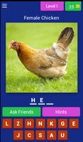 Animal Name: Male, Female, & Young (Animal Game) Affiche