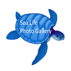 SeaLife Photo Gallery icon