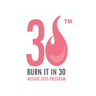 Burn It In 30 icône