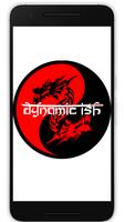 Dynamic Ish постер