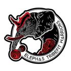 Elephas Tribefit Warriors icon