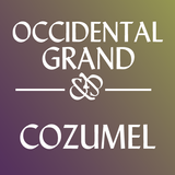 Hotel Grand Cozumel 아이콘