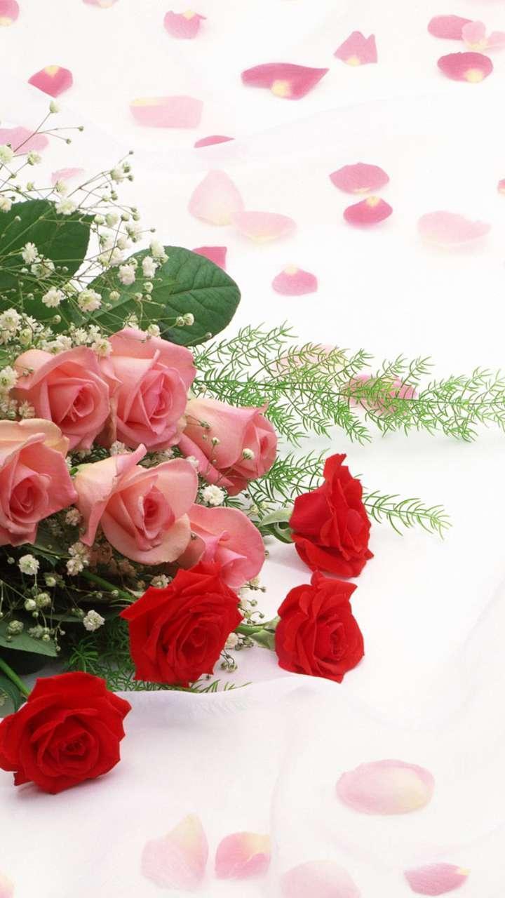 Android 用の バラの壁紙 花 花の背景 Rosely Apk をダウンロード