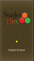 Snake vs Hex poster