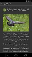 أشعار جرير screenshot 1