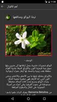 برنامه‌نما فوائد الأعشاب الطبعيه 2 عکس از صفحه