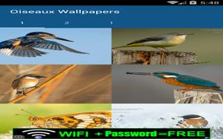 Bird Wallpapers screenshot 1