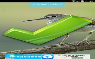 Bird Wallpapers syot layar 3