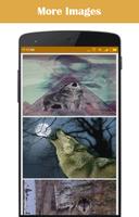 Wolf Wallpaper পোস্টার