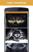 Wolf Wallpaper syot layar 3