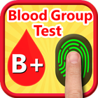 Blood Group Test Prank ícone
