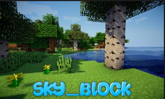SkyBlock : Island Survival 2018 poster