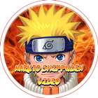 Naruto Shippuden Free Video icône