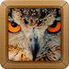 Amazing Zoo APK