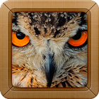 Amazing Zoo آئیکن