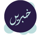 Urdu News icône