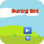 Burning Bird