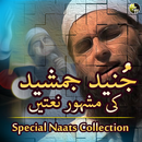 Junaid Jamshed Naats APK