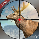 Deer Hunting 2019 – Jungle Hunter 3D APK