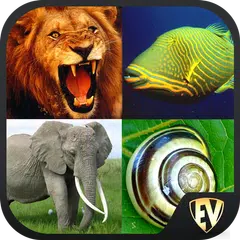 Animal Encyclopedia Offline APK download