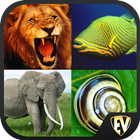 Animal Encyclopedia Offline آئیکن