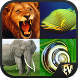 Icona Animal Encyclopedia Offline