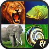 Animal Encyclopedia Complete Reference Guide Free v1.1.3 (Premium)