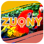 Photo Collection Scarlet Macaw Bird 아이콘