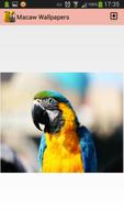 Macaw Wallpapers capture d'écran 1