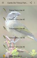 Canto De Trinca Ferro Lite Affiche