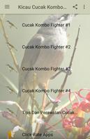 Kicau Cucak Kombo Fighter ポスター