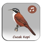 Kicau Cucak Kopi Full Gacor icono