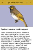 Kicau Cucak Rengganis Fighter ภาพหน้าจอ 3