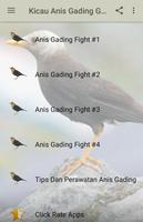 Kicau Anis Gading Gacor Fight-poster