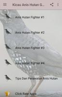 Kicau Anis Hutan Gacor Fighter постер