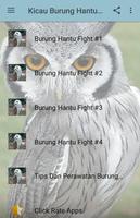 Kicau Burung Hantu Fight poster