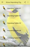 Kicau Kepodang Fighter Affiche