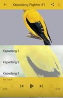 Kicau Kepodang Fighter capture d'écran 1