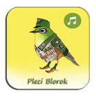 Kicau Pleci Blorok Gacor Juara icono