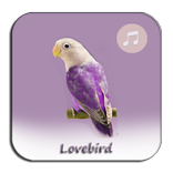 ”Lovebird Best World
