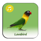 Masteran Lovebird Juara Bocor icône