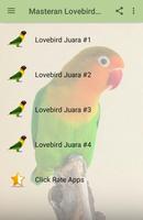 Masteran Lovebird Juara Bocor capture d'écran 1