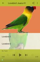 Masteran Lovebird Juara Bocor capture d'écran 2