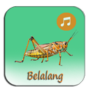 Suara Belalang Hutan Merdu APK